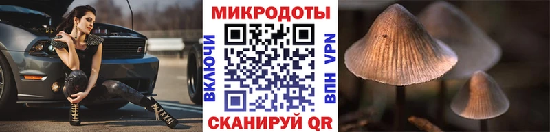 Псилоцибиновые грибы GOLDEN TEACHER Купить где Кушва